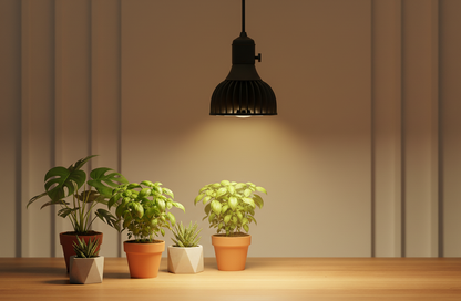 LED Grow Light Bulb for Indoor Plants — Full Spectrum Grow Lamp for Seedlings & Vegetables