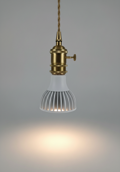 LED Grow Light Bulb for Indoor Plants — Full Spectrum Grow Lamp for Seedlings & Vegetables