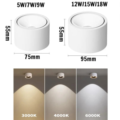 Modern Cylinder Surface-Mounted LED Ceiling Light - Modefinity