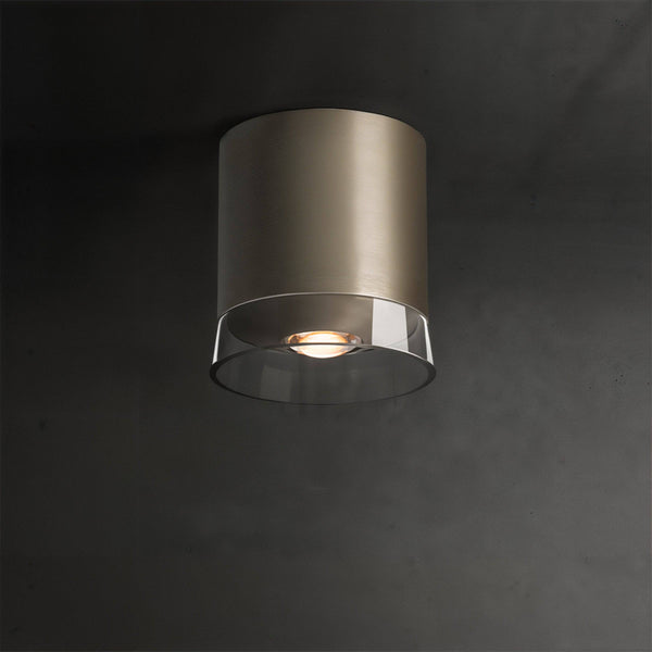 Lens Ceiling Spot Light